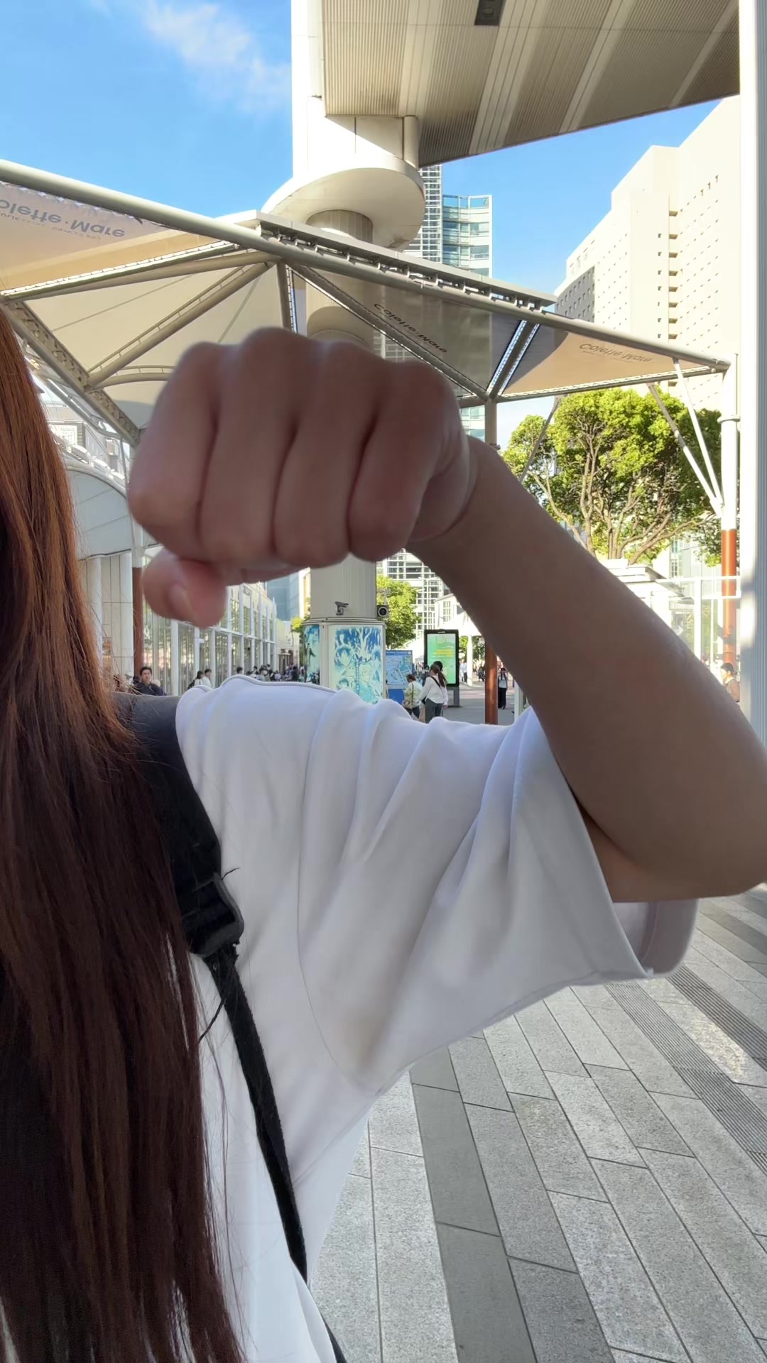 @海菜