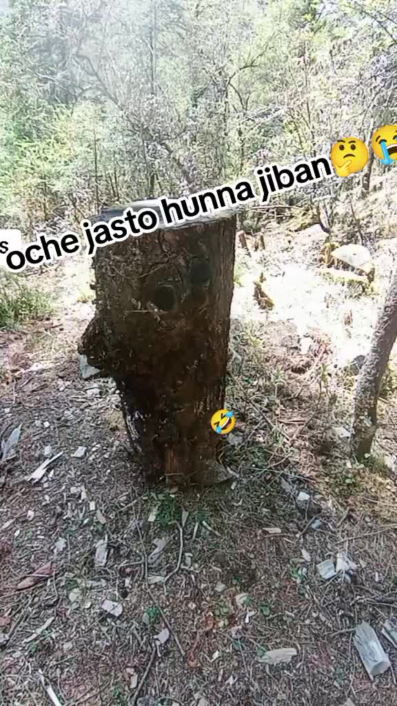 @Mobadi honi pheri guys🙏⚔️🗡️