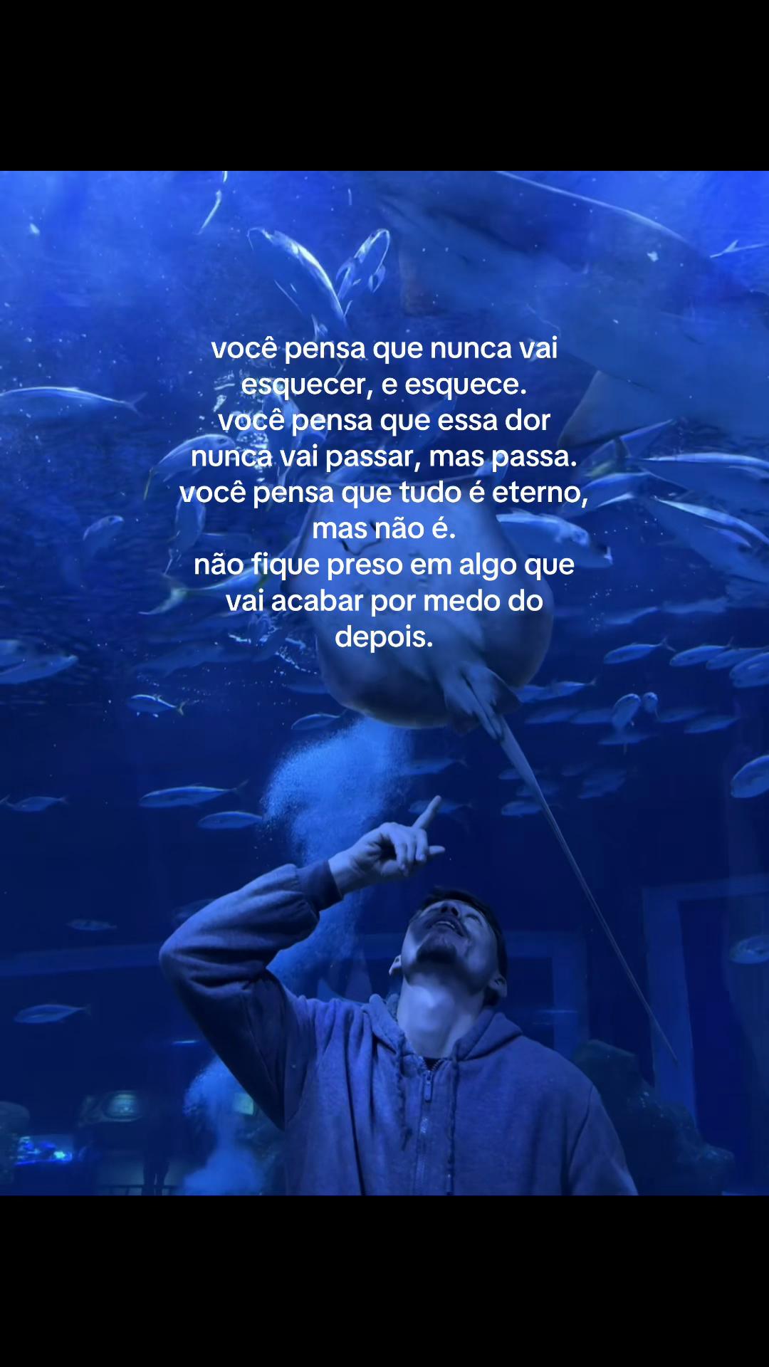 @z&eacute; 🕷️
