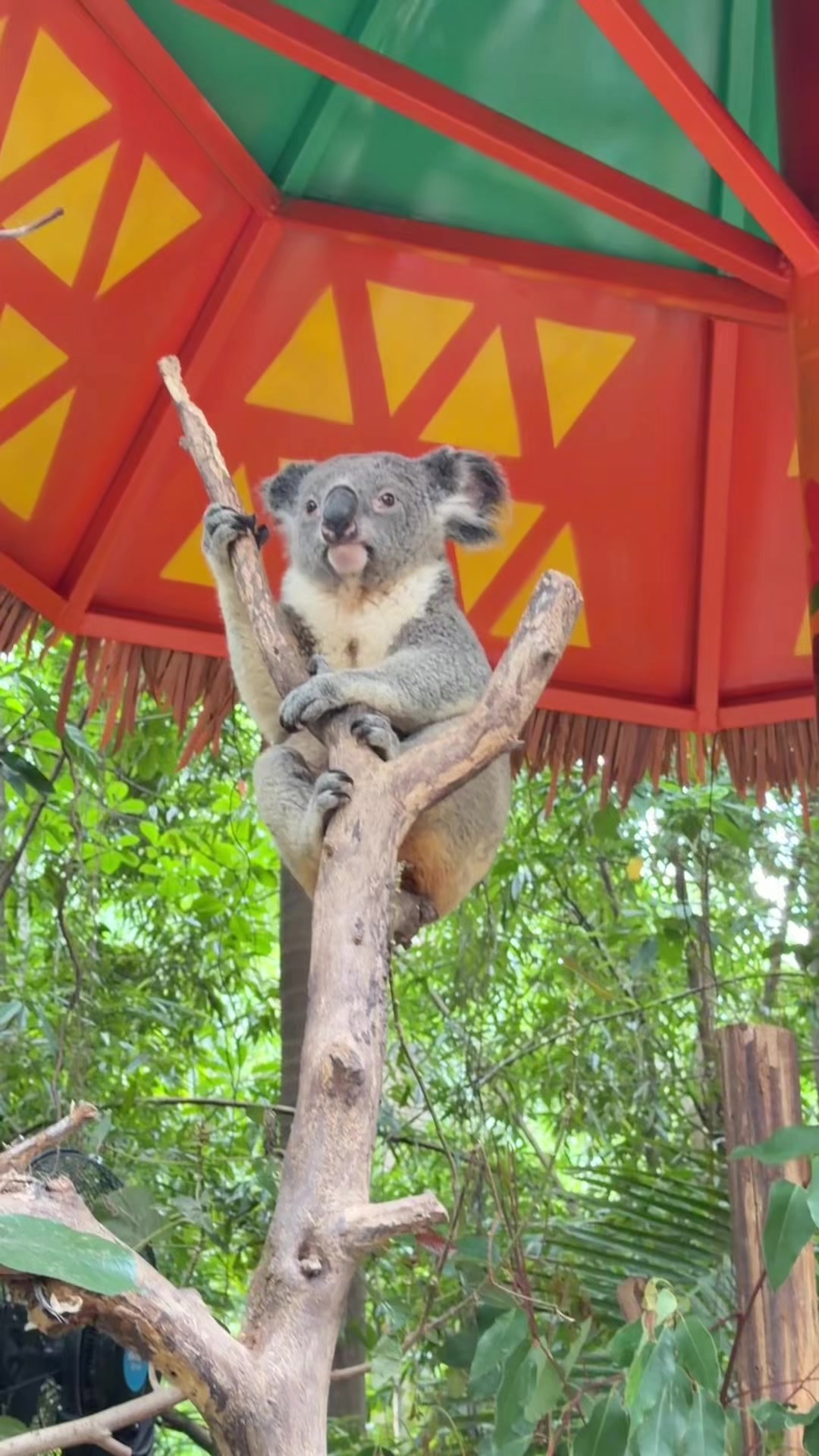 @Punyaporn Poonpipat