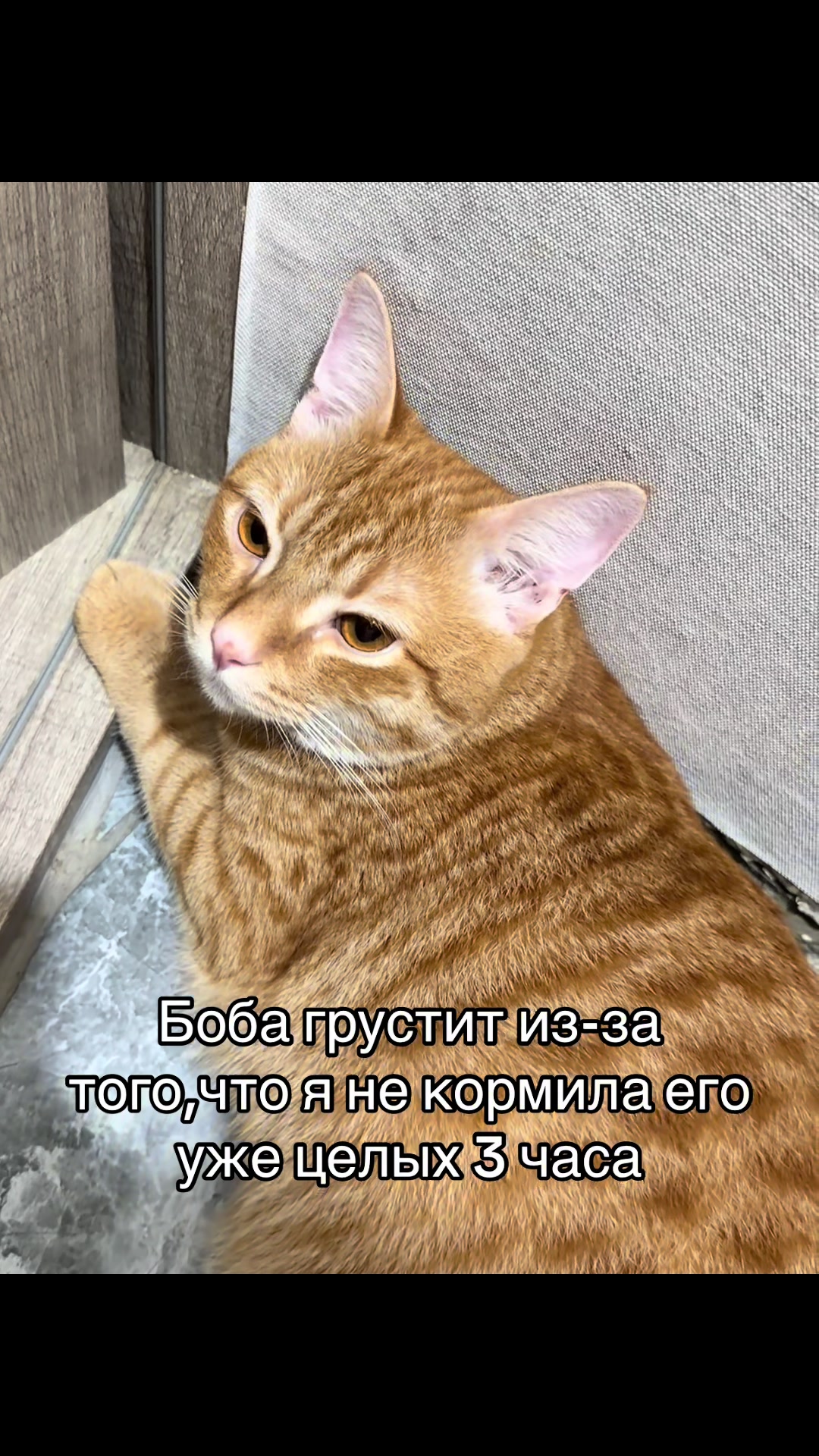@кастрюля
