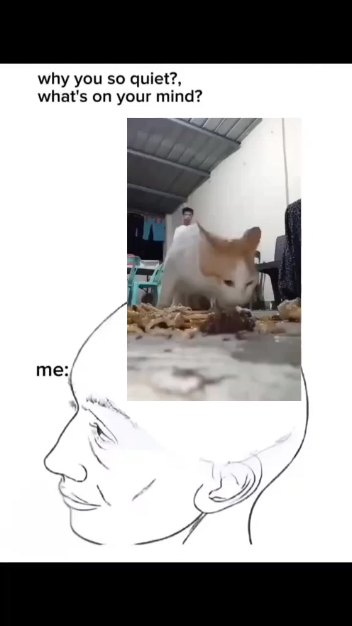 @×{♦dough♦}×