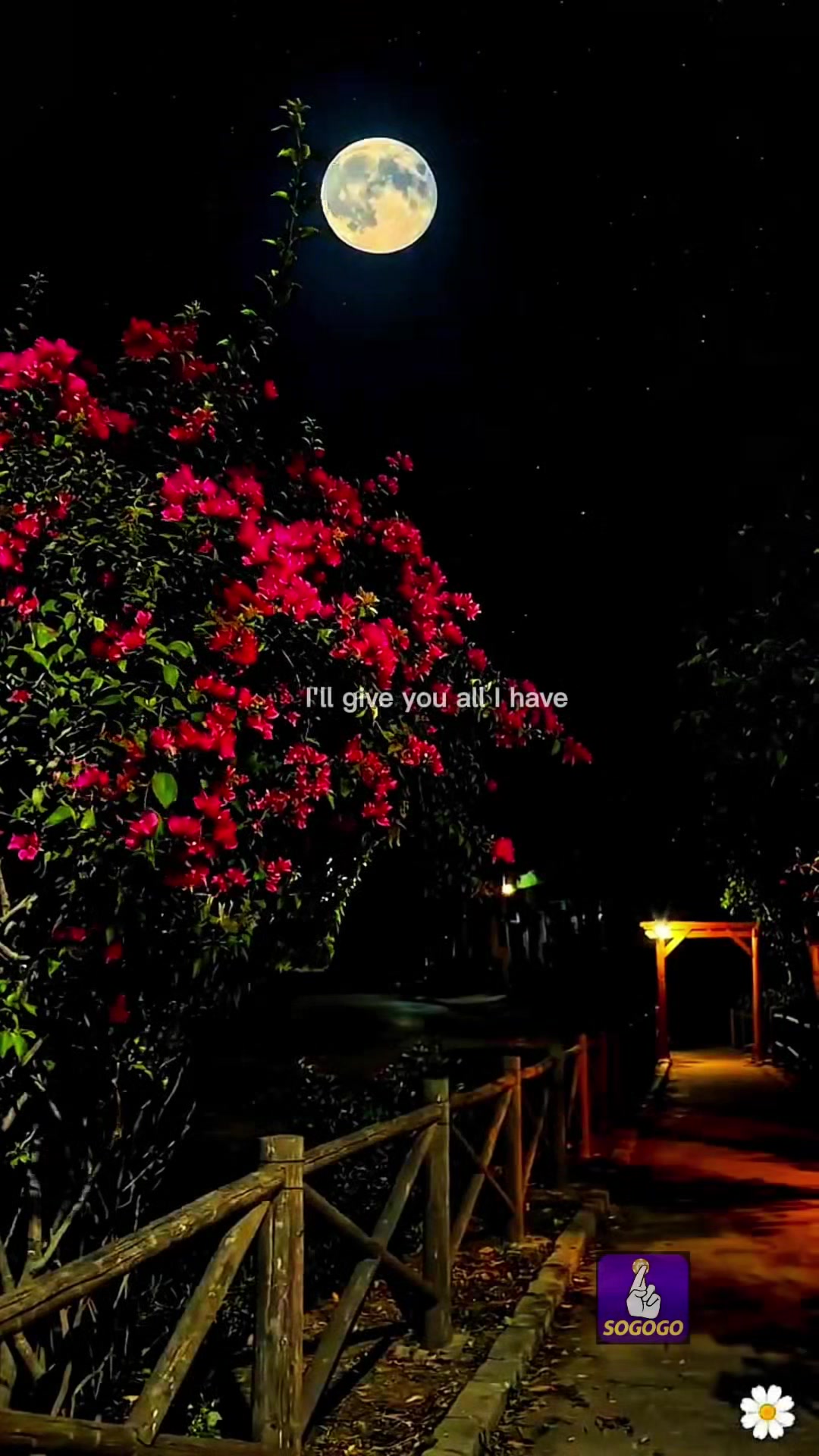 @chillsongs18
