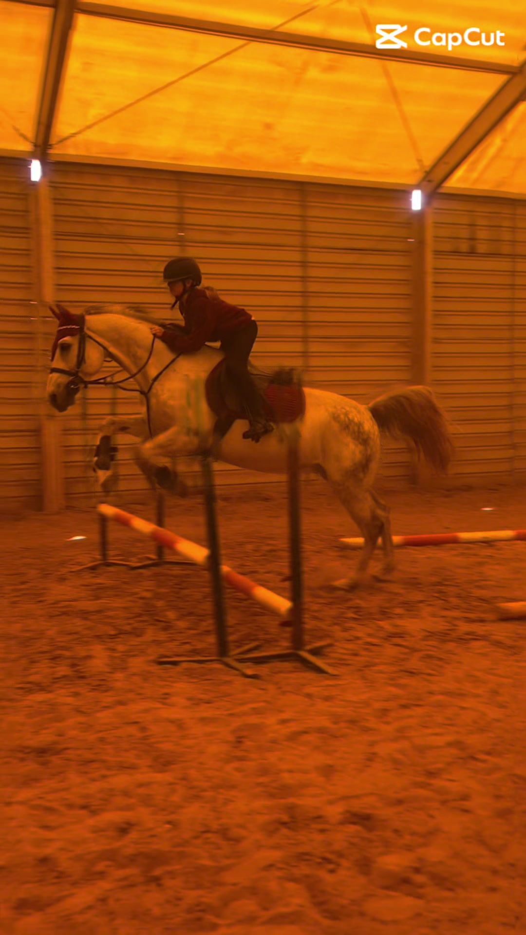 @😻🐴Eq._.N🐴😻