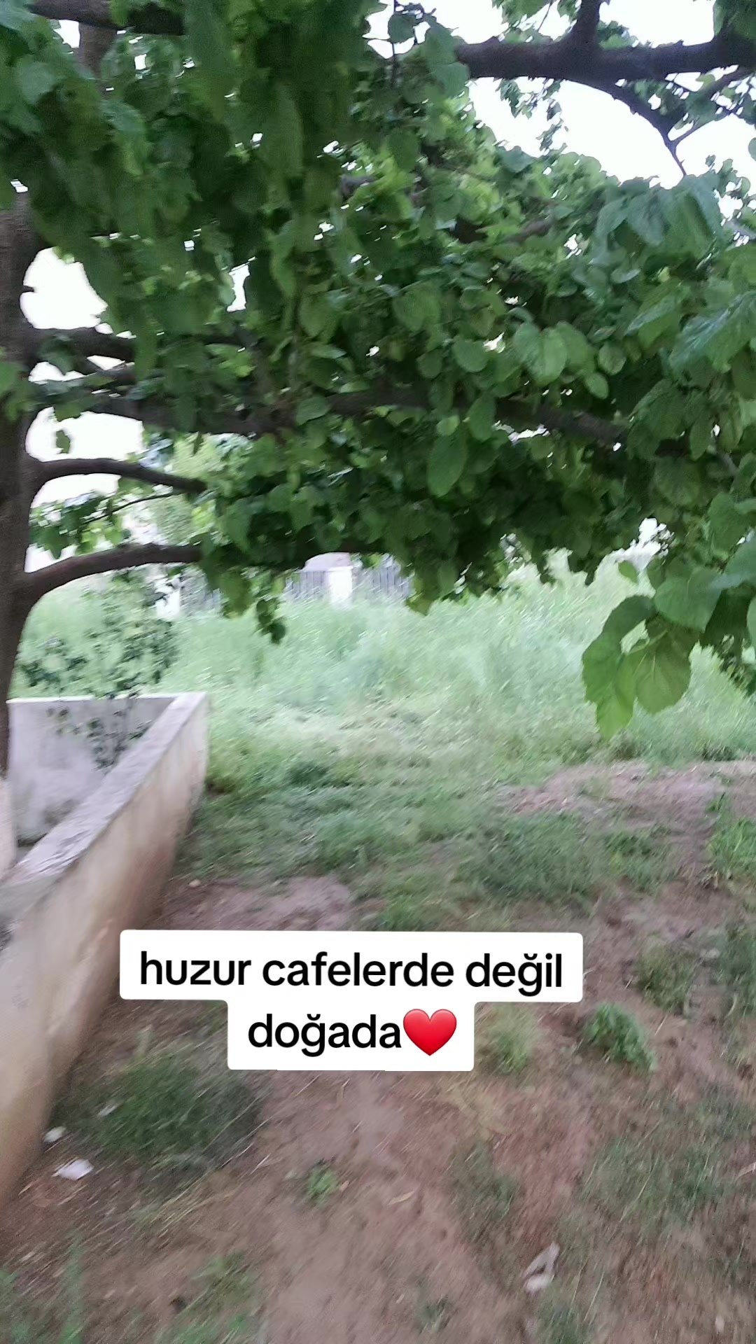 @kuzey