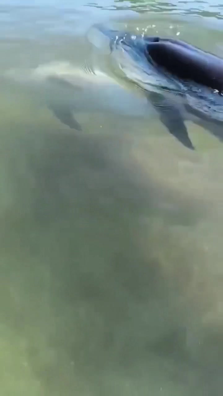 @Александра