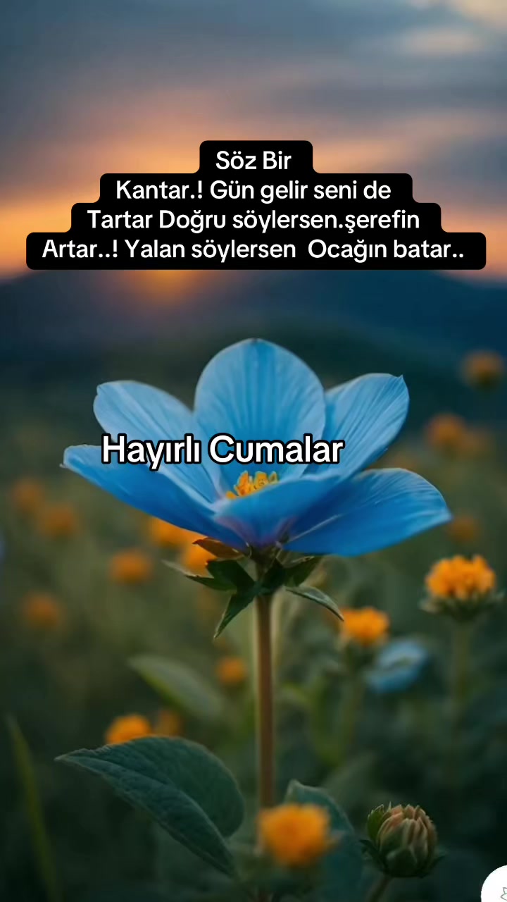 @Arzu safiye