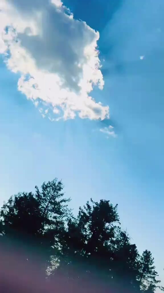 @F. 💝. Z