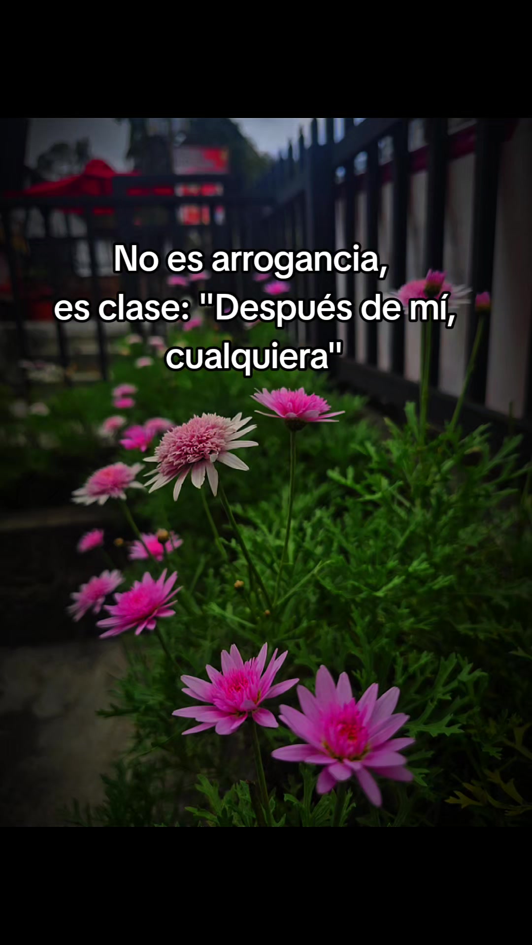 @cris