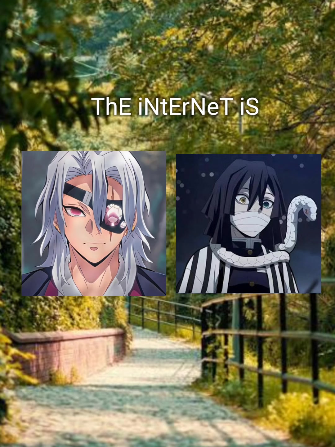 @🌸🍥🍡{mitsuri~kanjiro}🌸🍥🍡