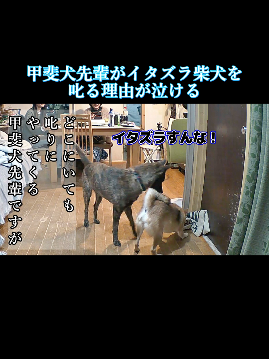 @川沿いに歩く妻サヲル