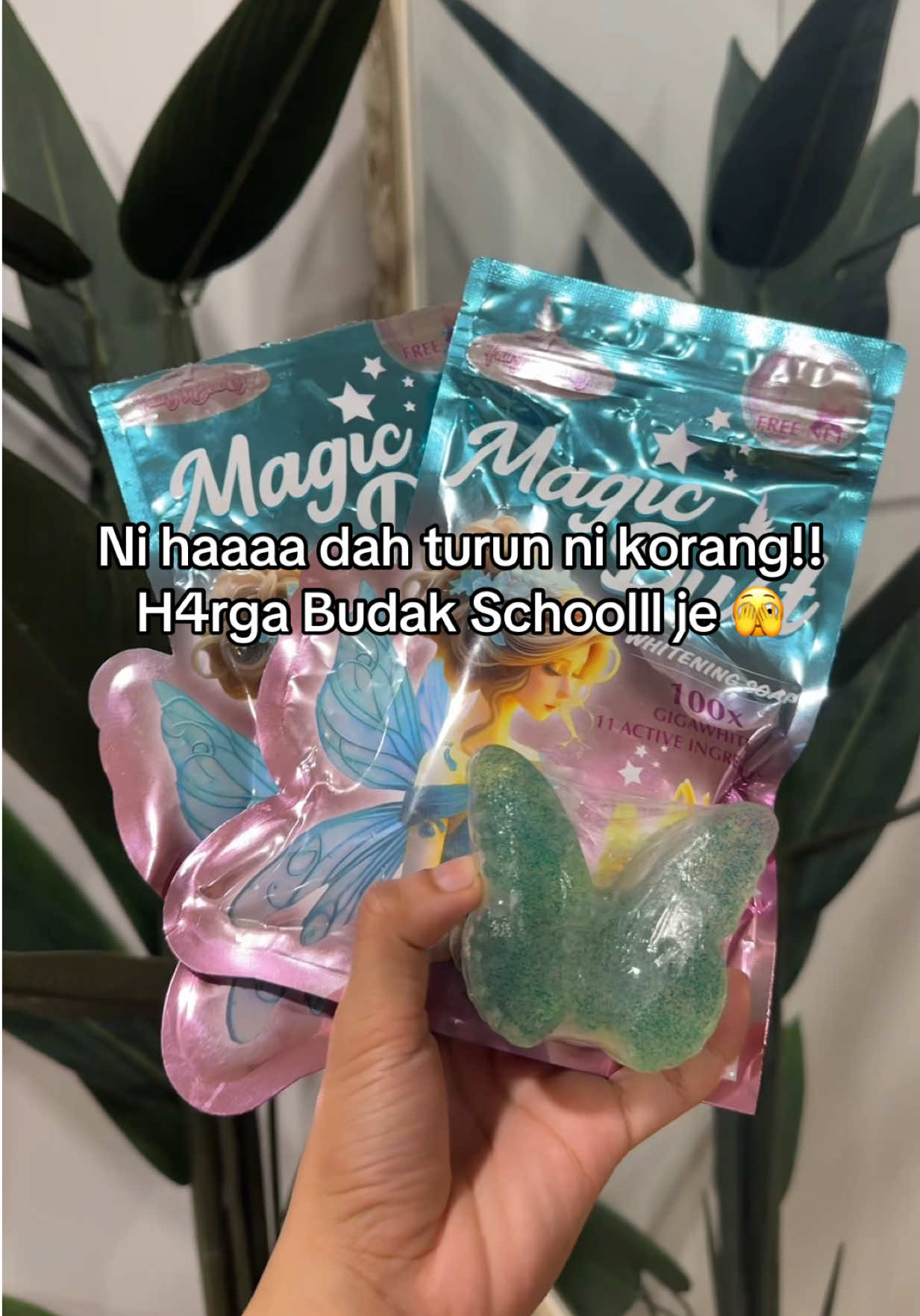 @Ayla Alia 💚