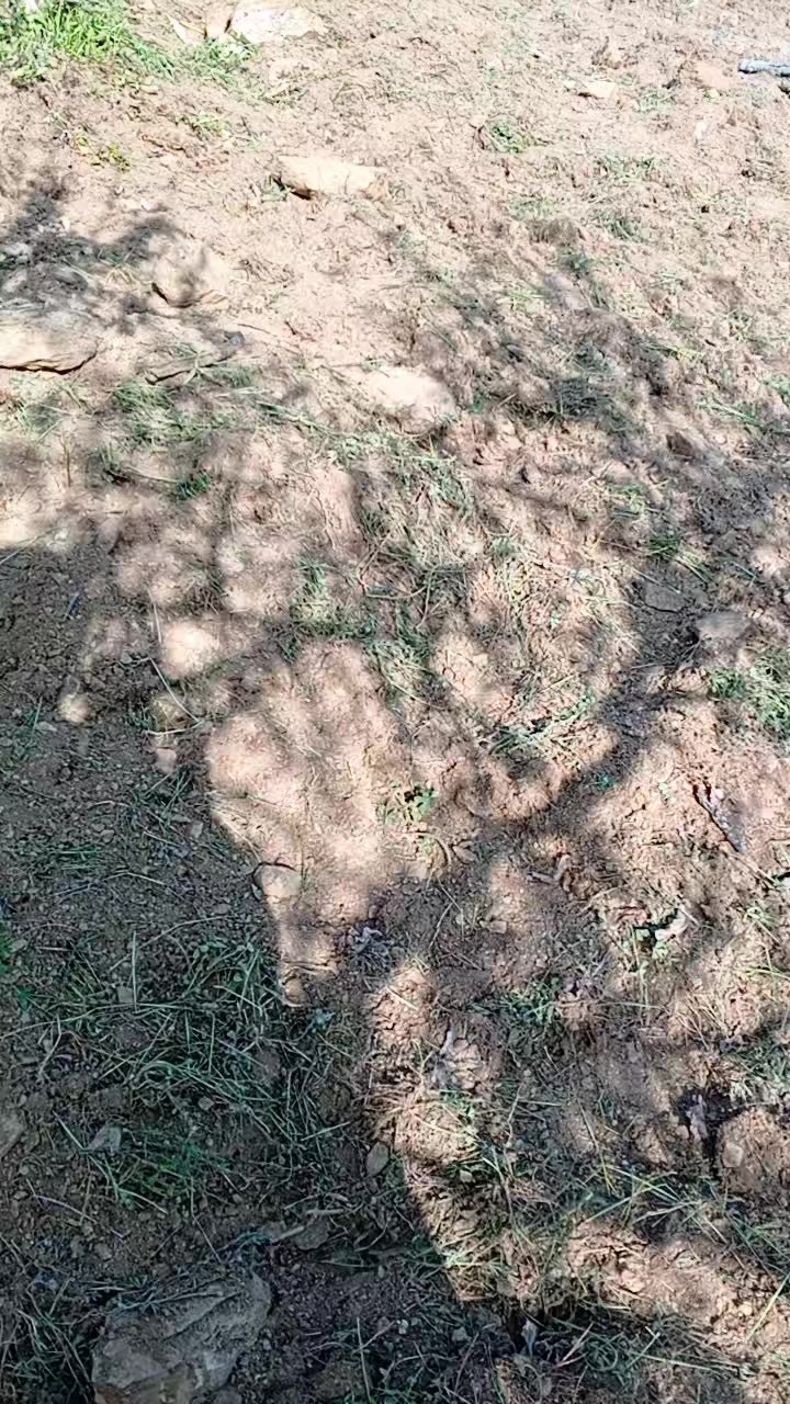 @&ouml;zlem
