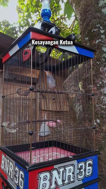 @KAPTEN