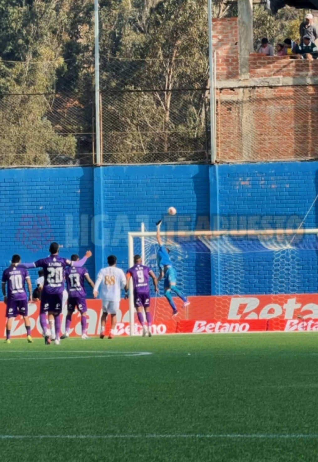 @Liga de F&uacute;tbol Profesional