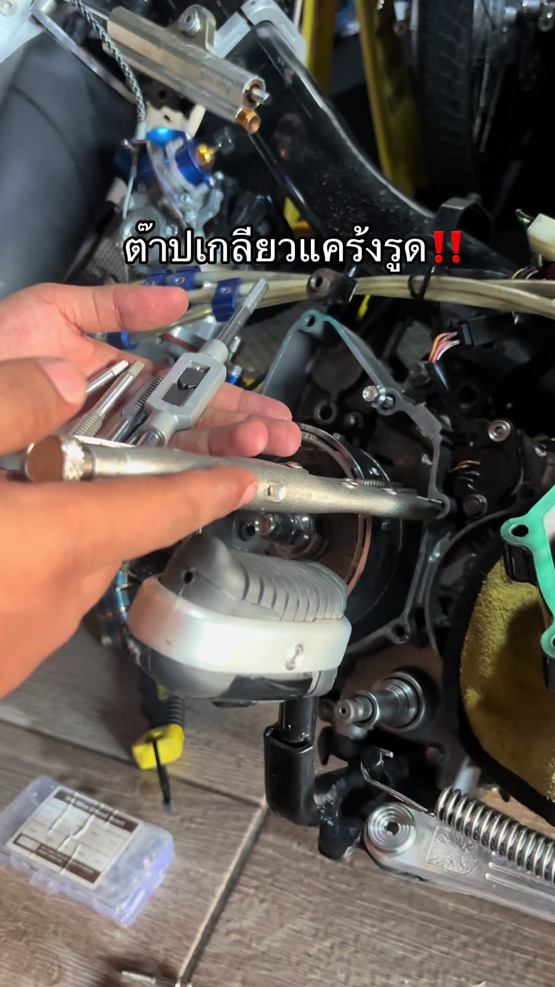 @เจ้าบลูริ่ง🤍