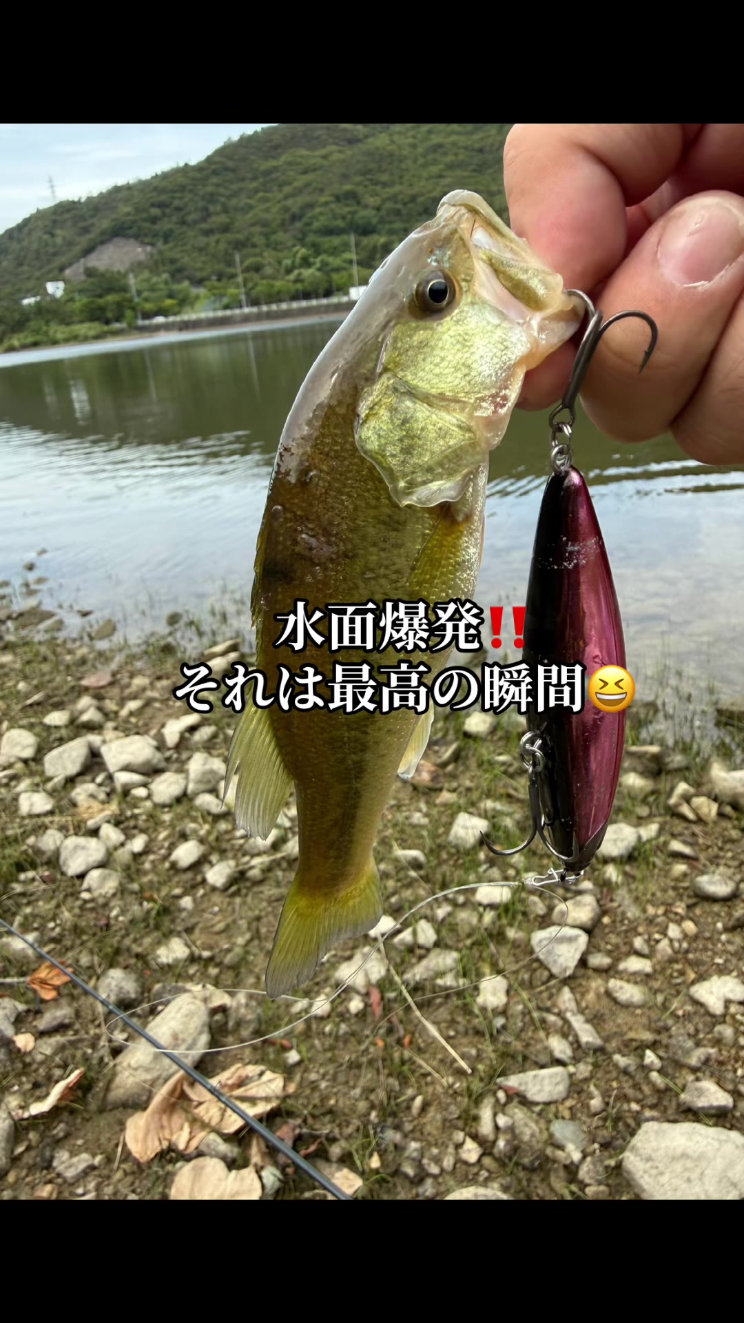 @片田舎のおっさんブラックバスを釣る