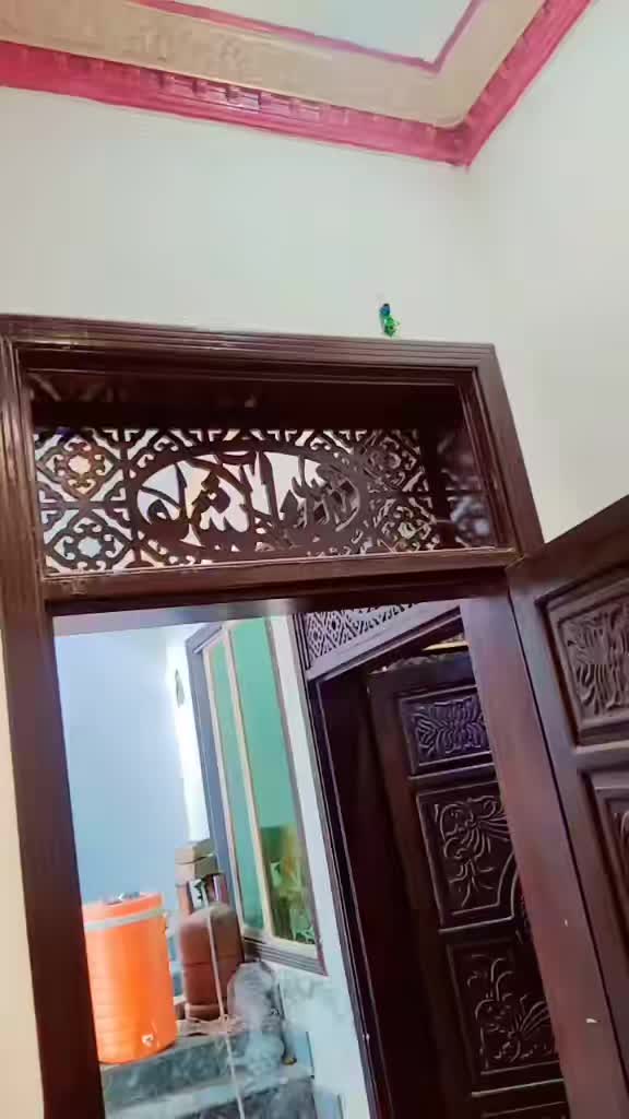 @03130519250