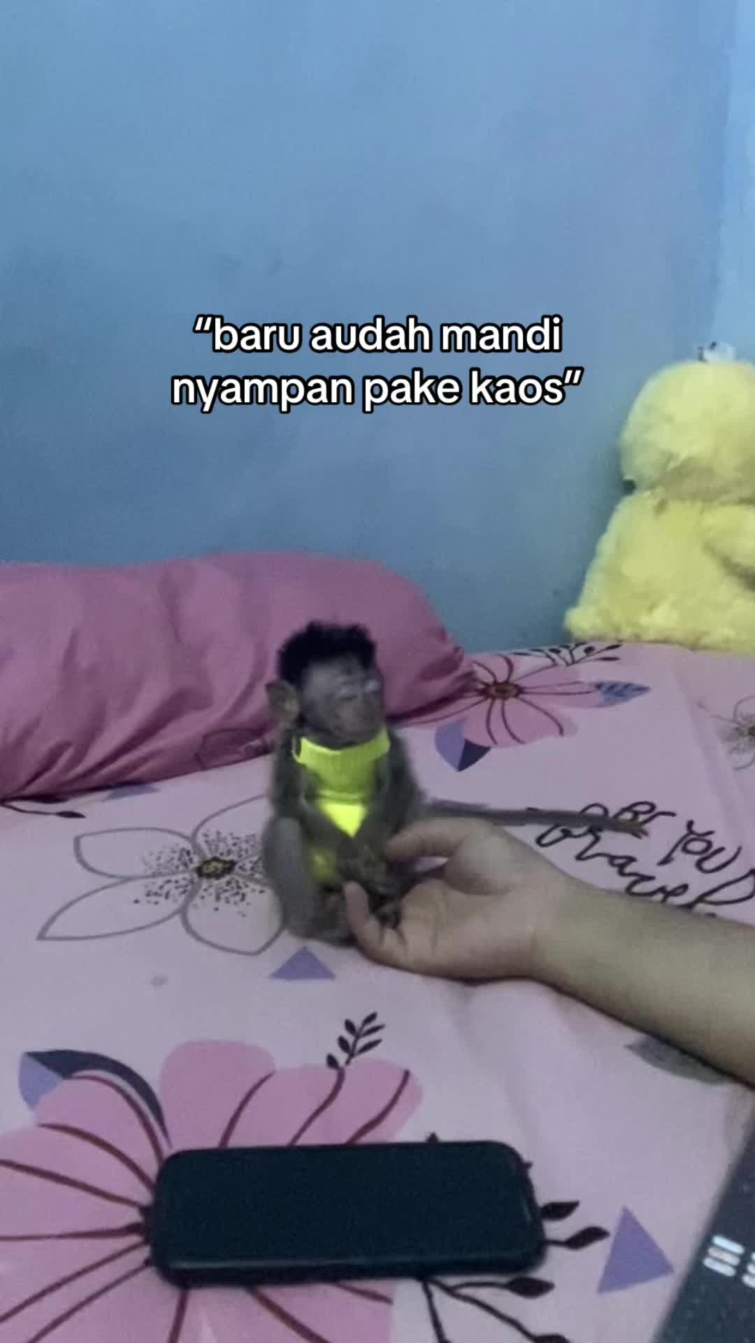 @MRS.Adit ๐๐๐๐ง๐ญ๐
