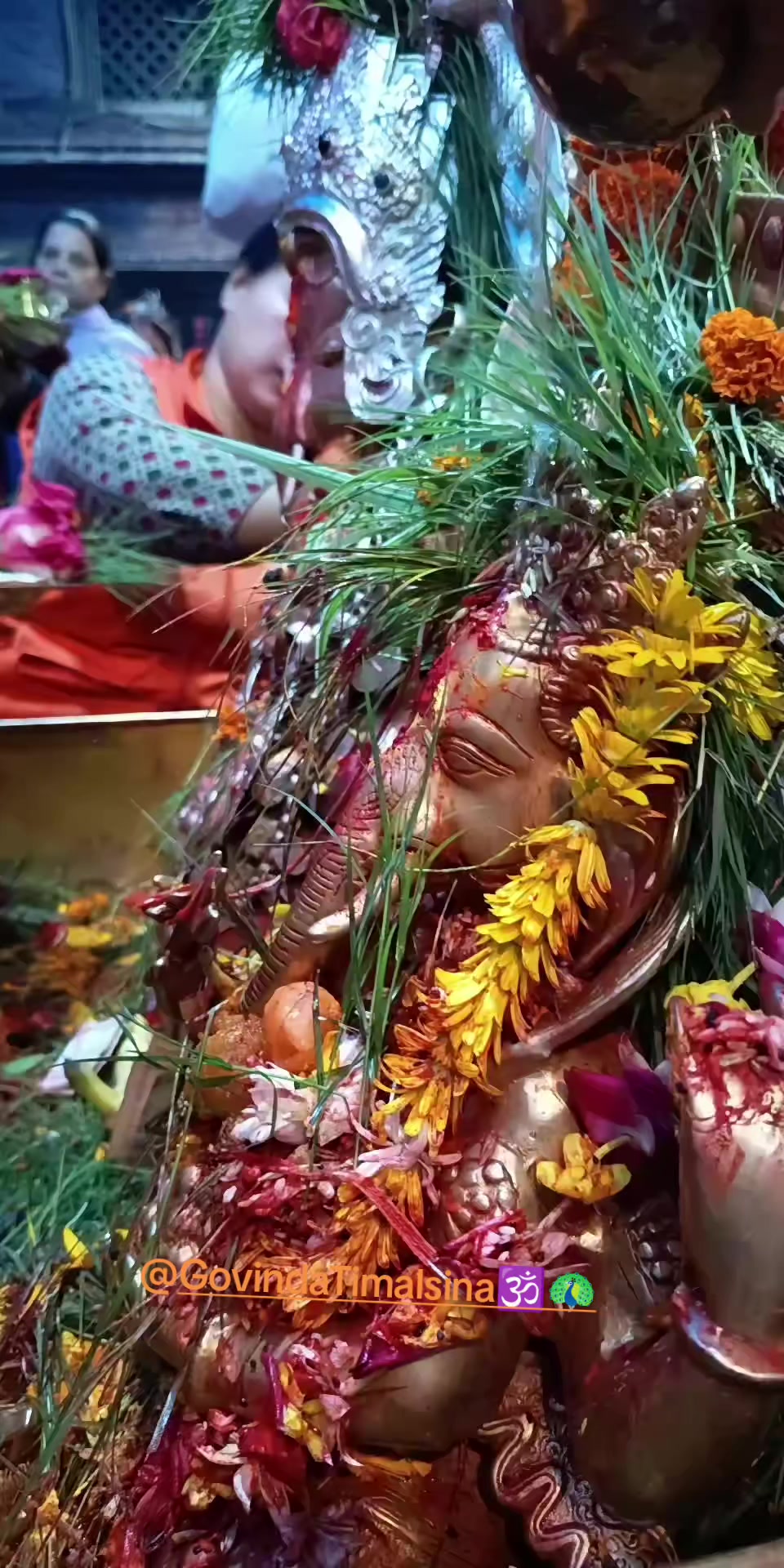 @Govinda Timalsina🕉🦚