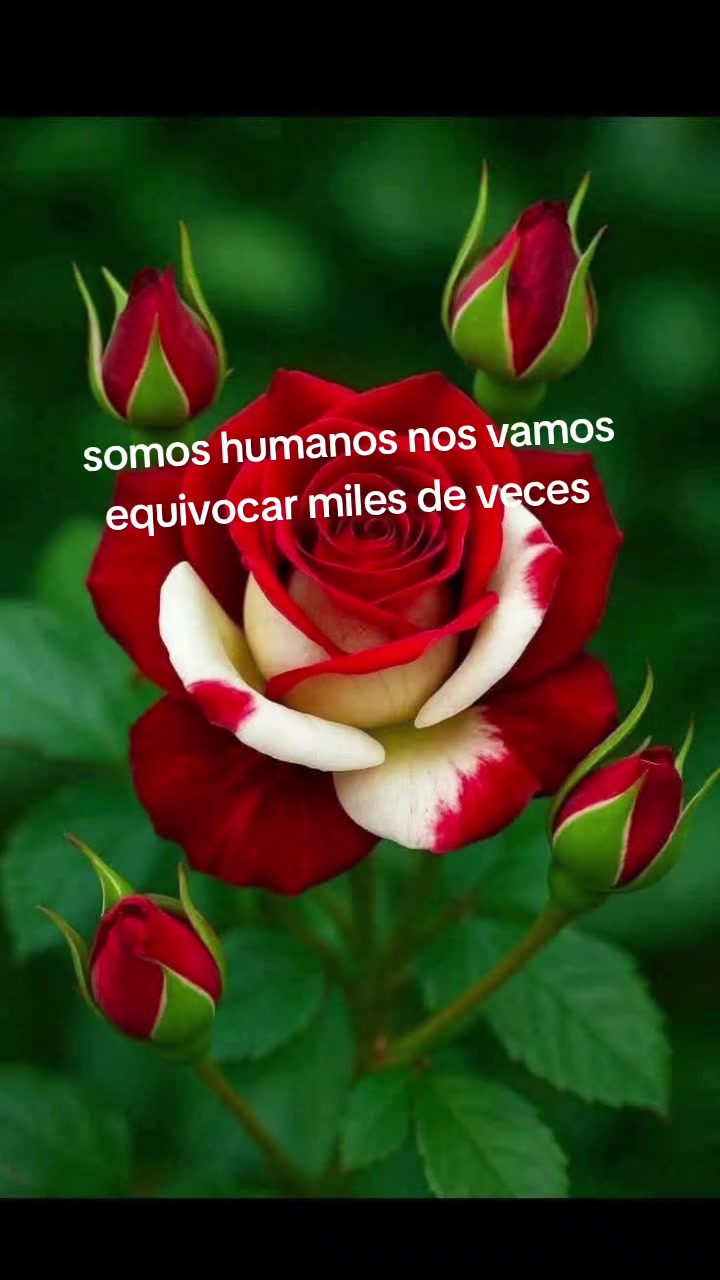 @Silvia ical