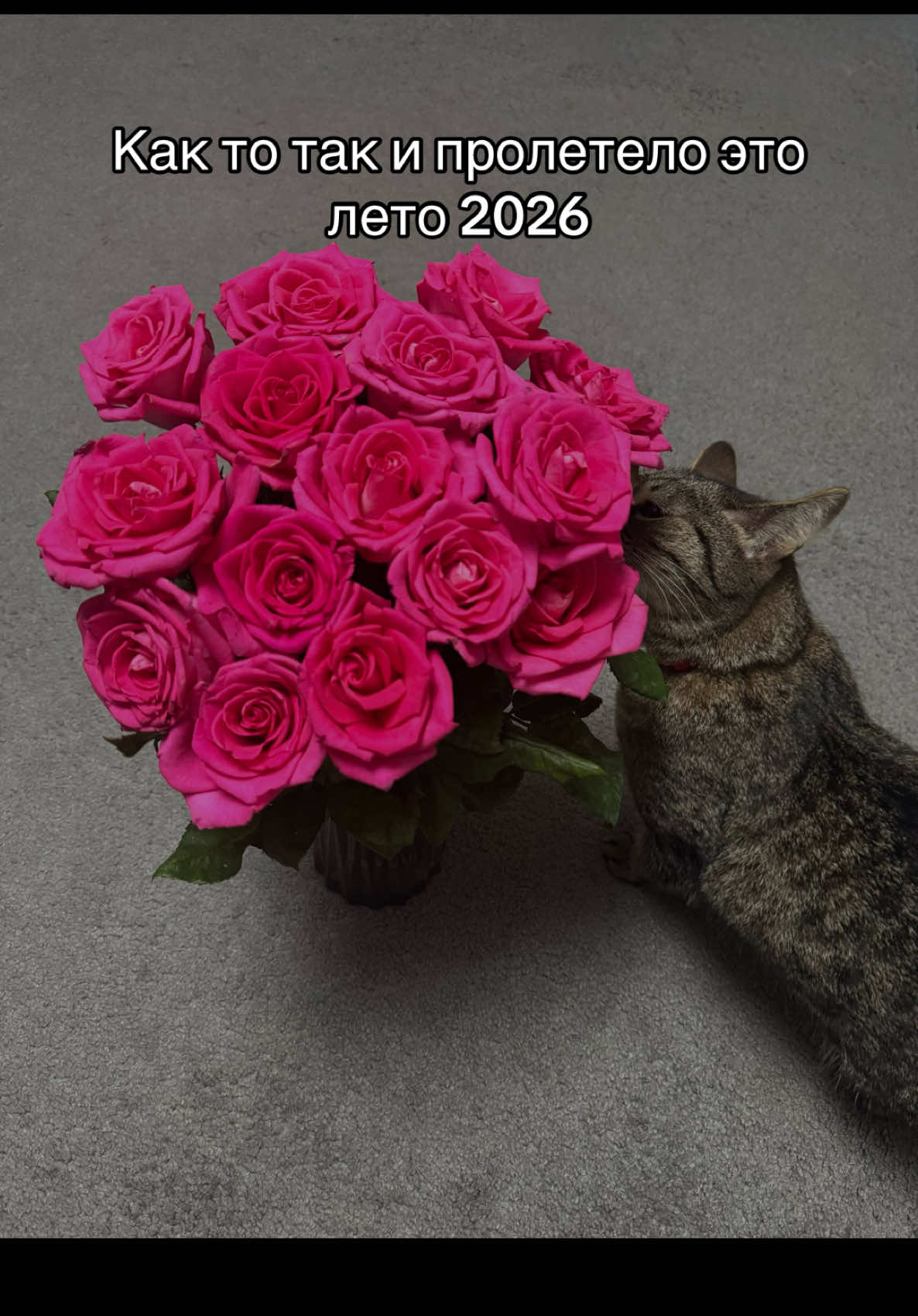 @𝙺𝚊𝚛𝚒𝚗𝚊