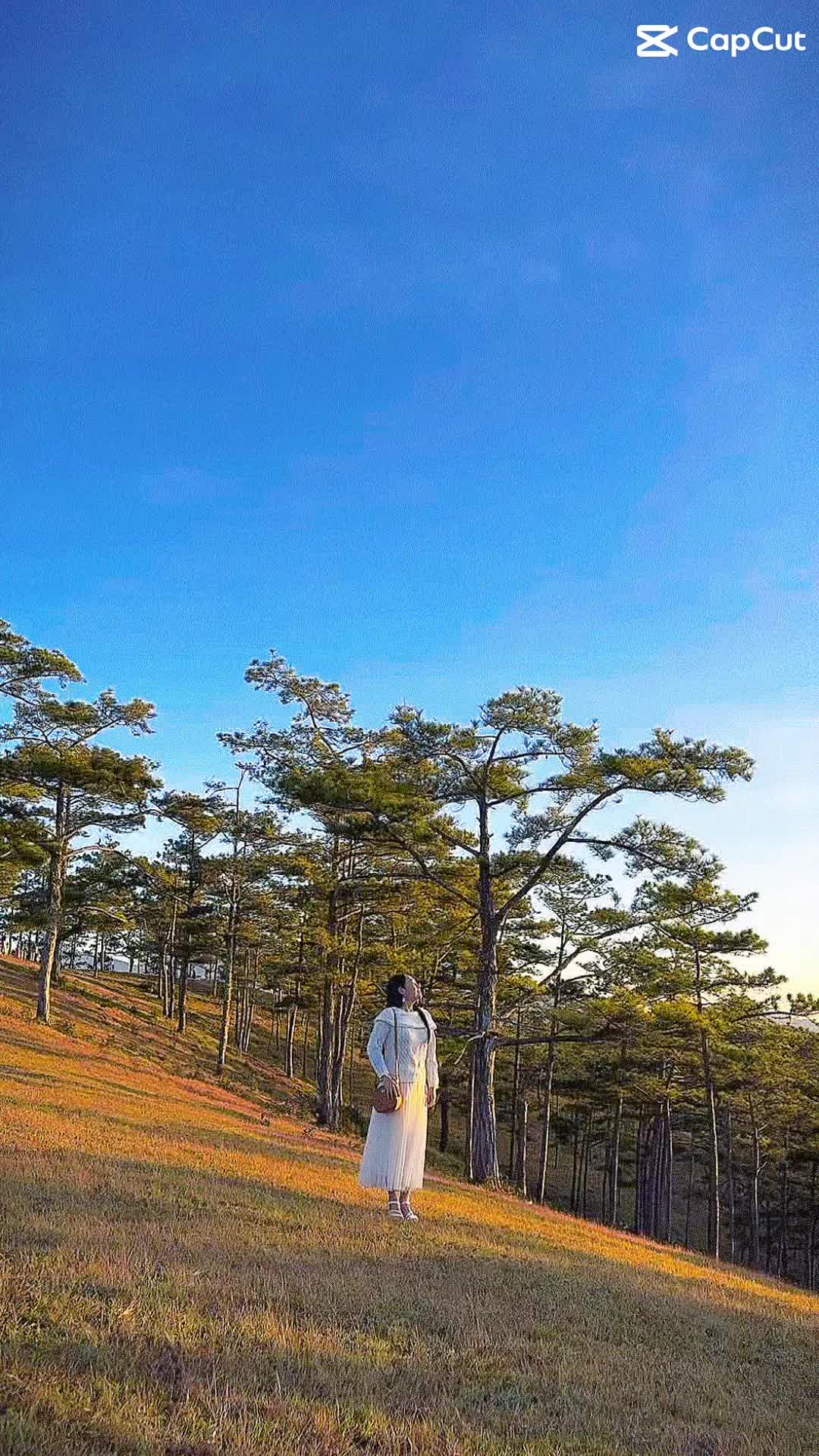 @Ngọc Diệp