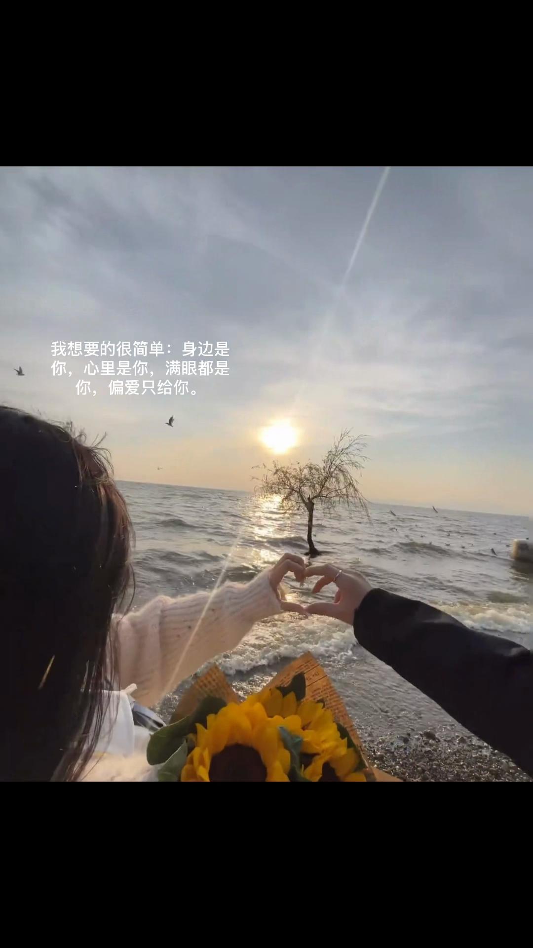 @灰太狼