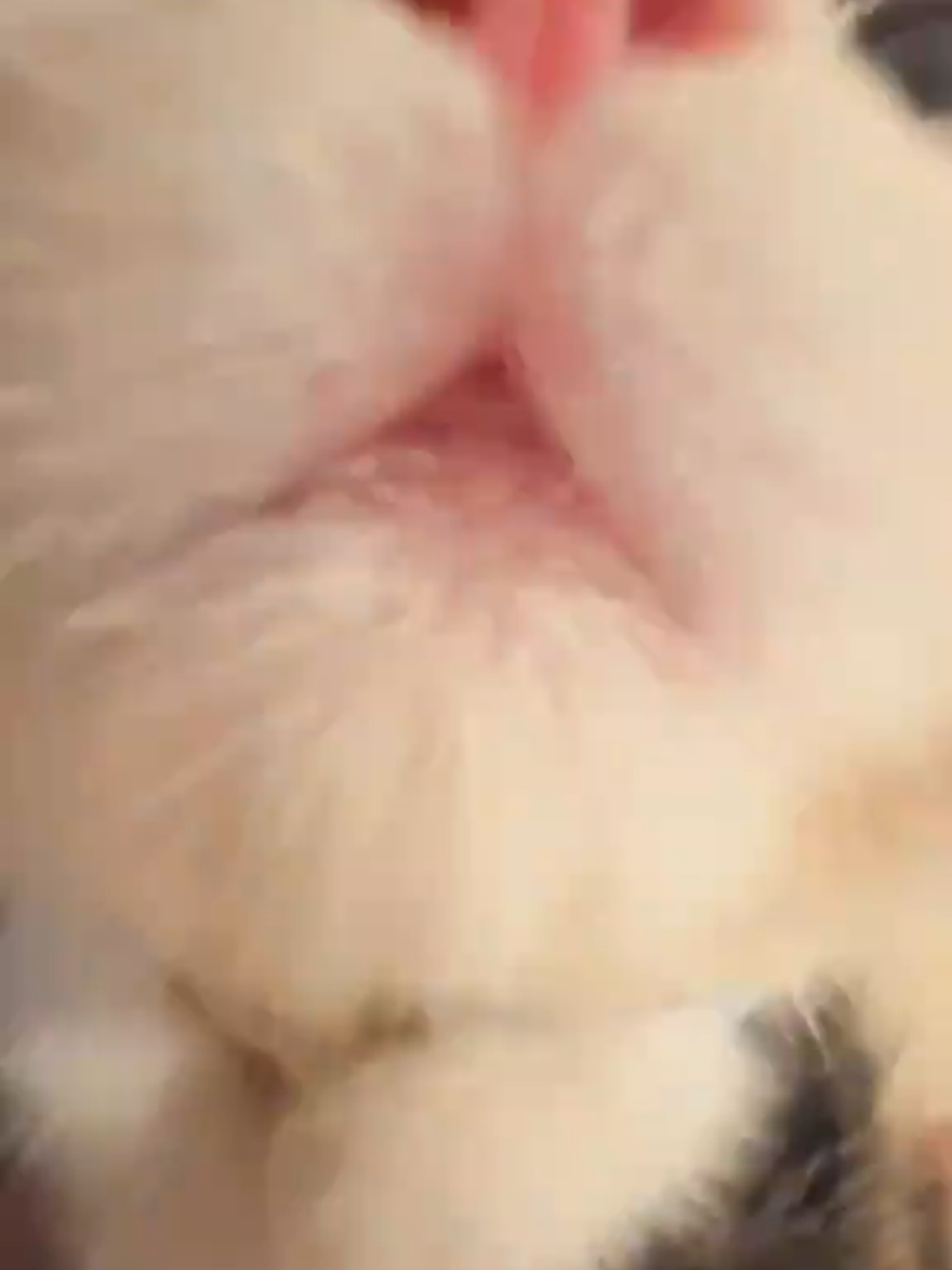 @Kiki