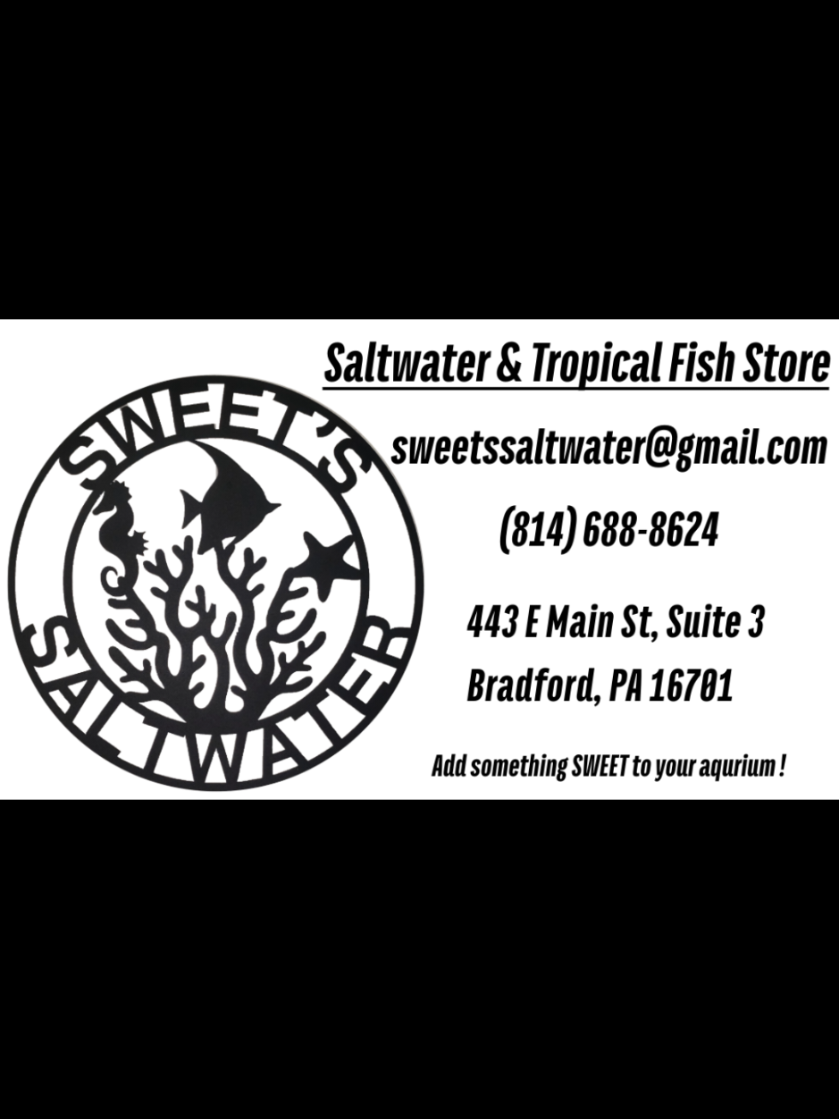 @Sweets Saltwater
