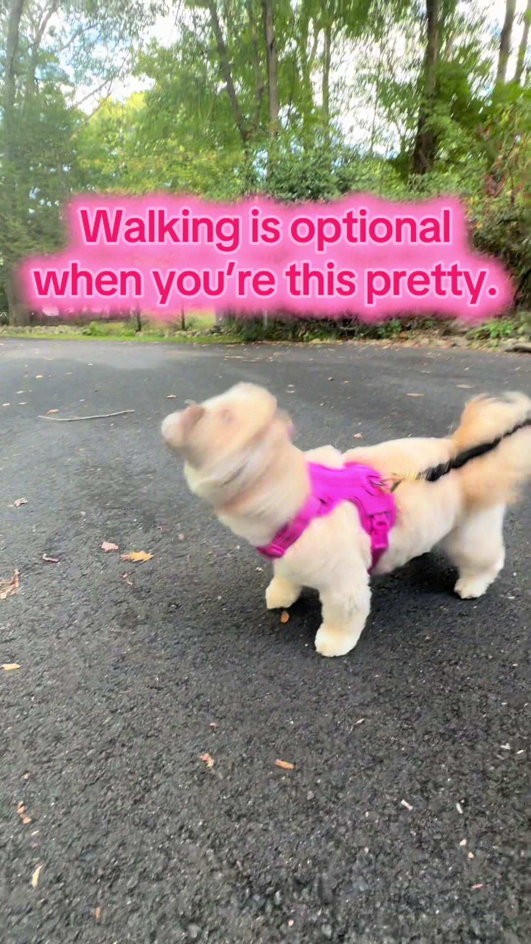 @Queen Penny