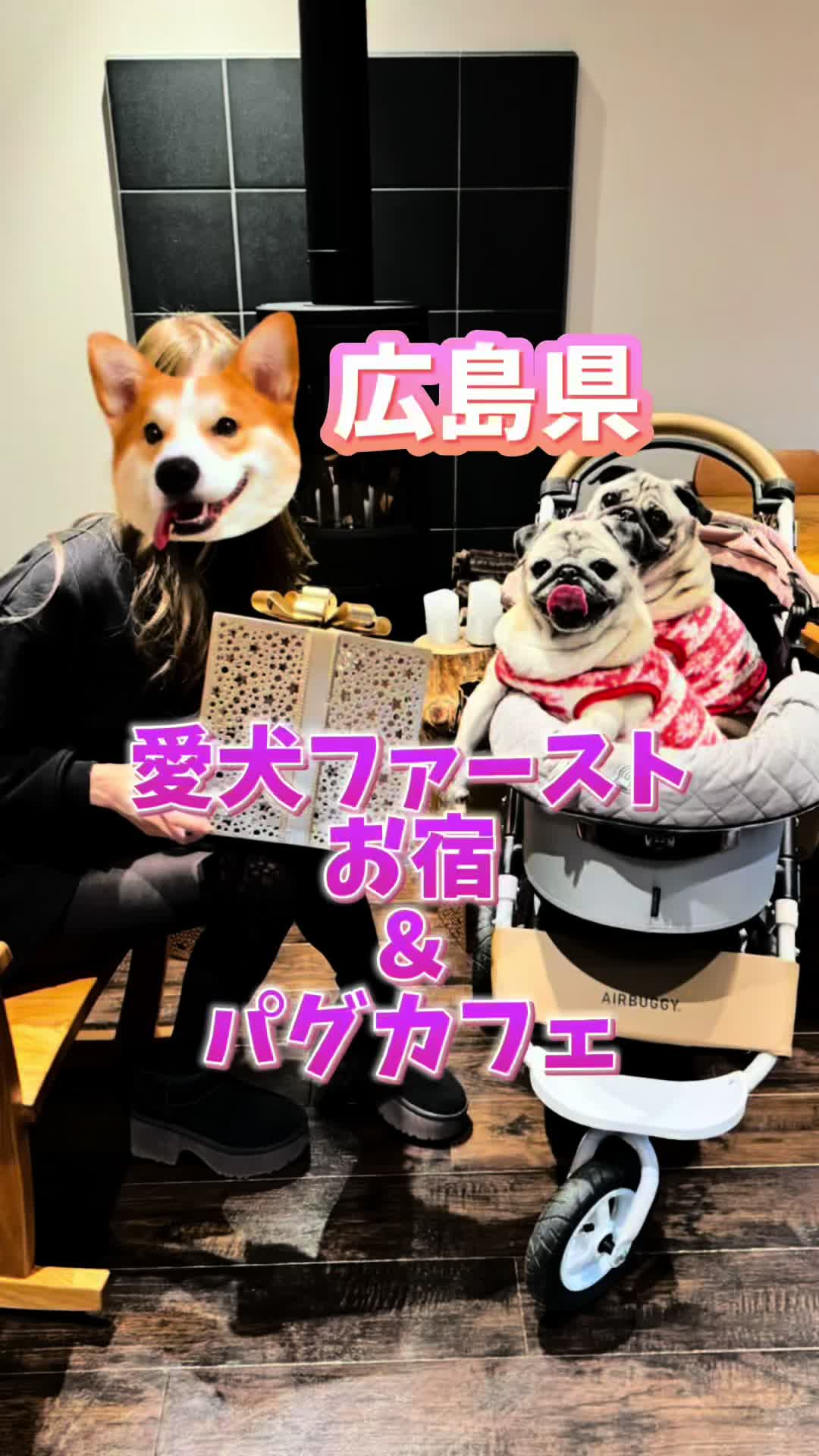 @ãã³ããð¶ãã£ã¡ãã