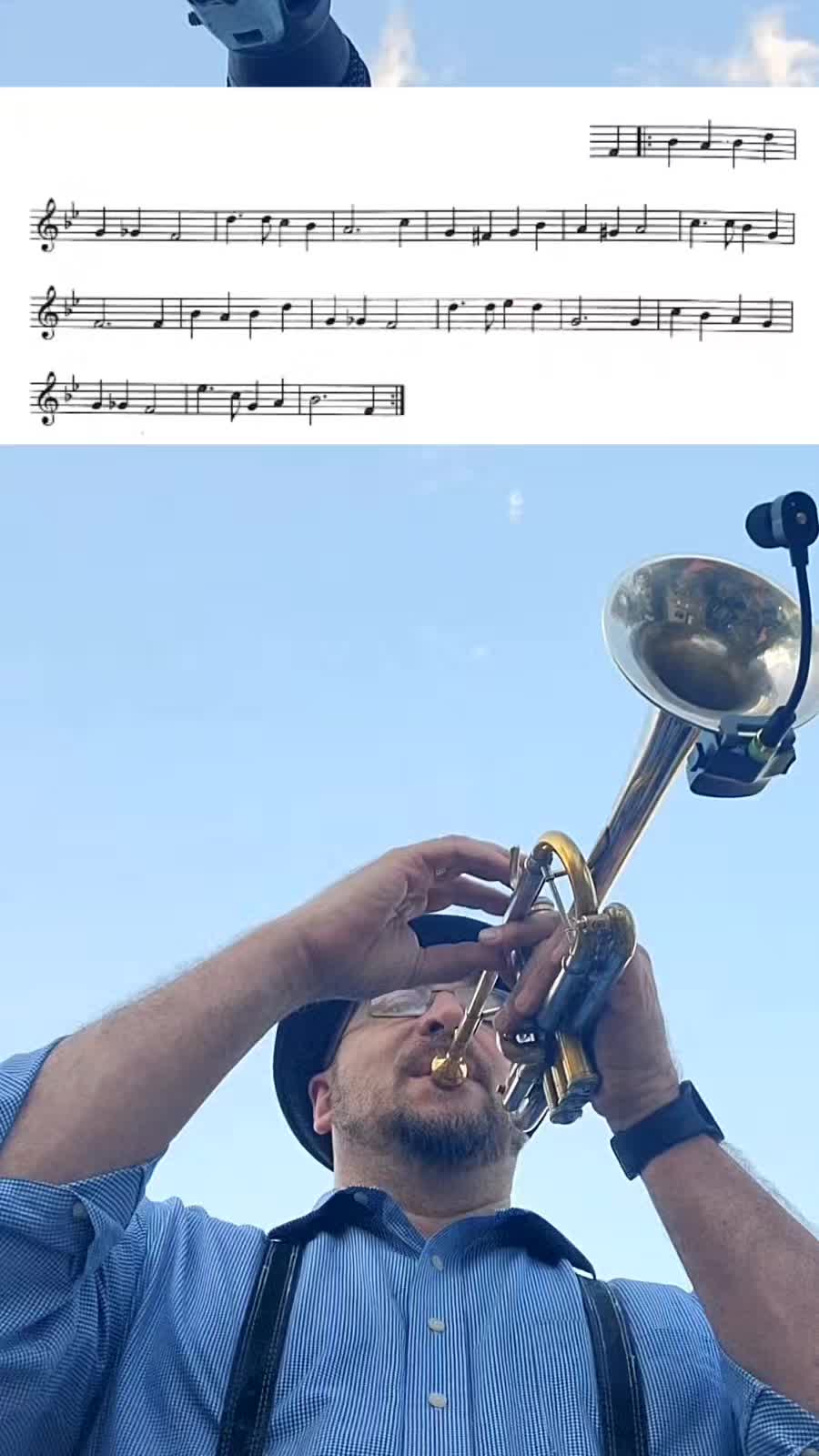 @Dr. O'Hara