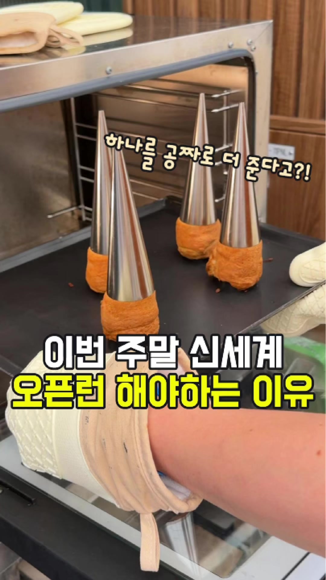 @대전토박이