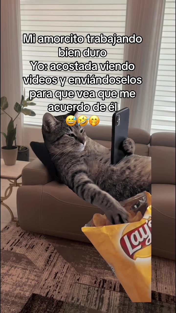 @Irreverente💯