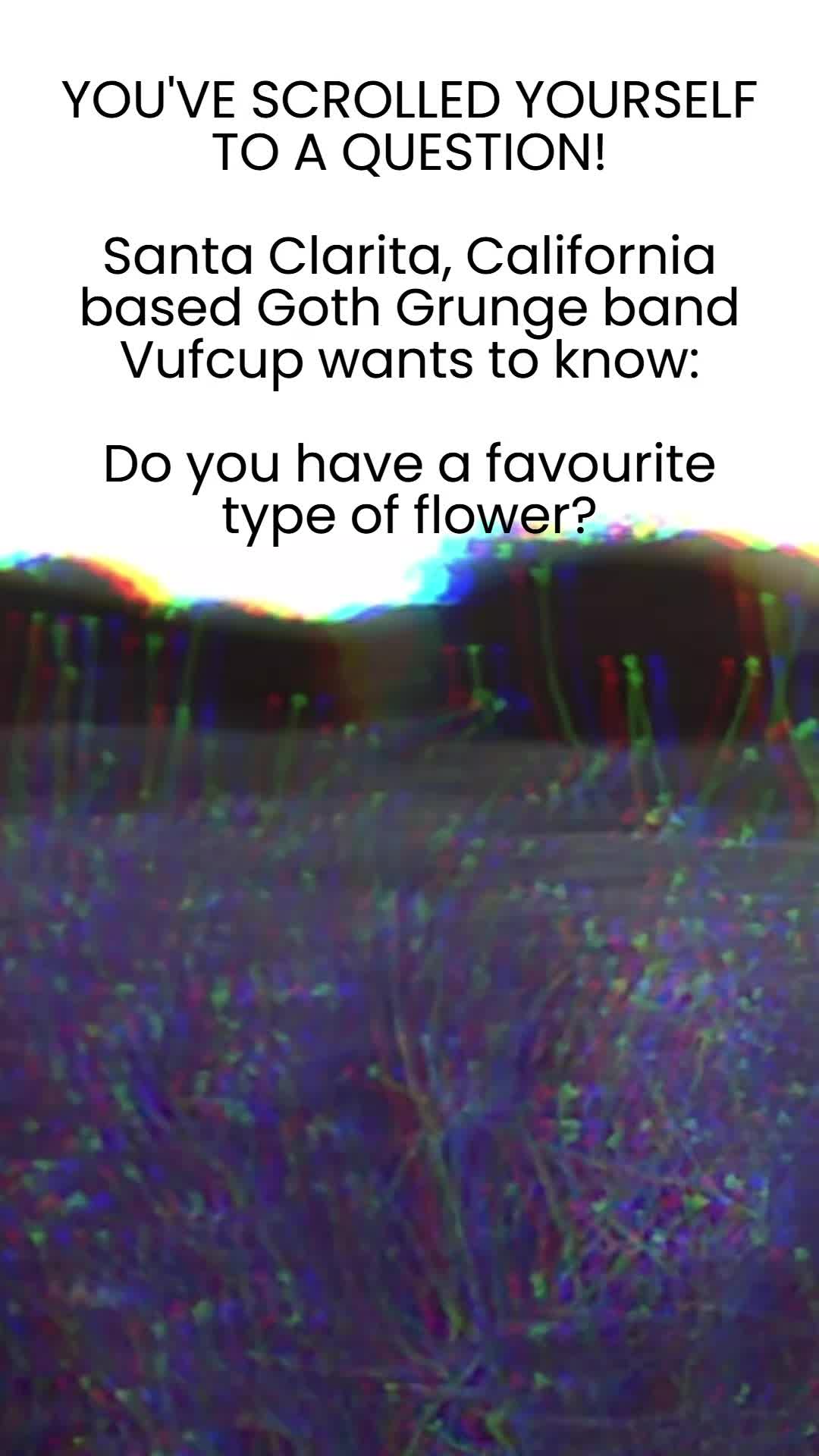@Vufcup