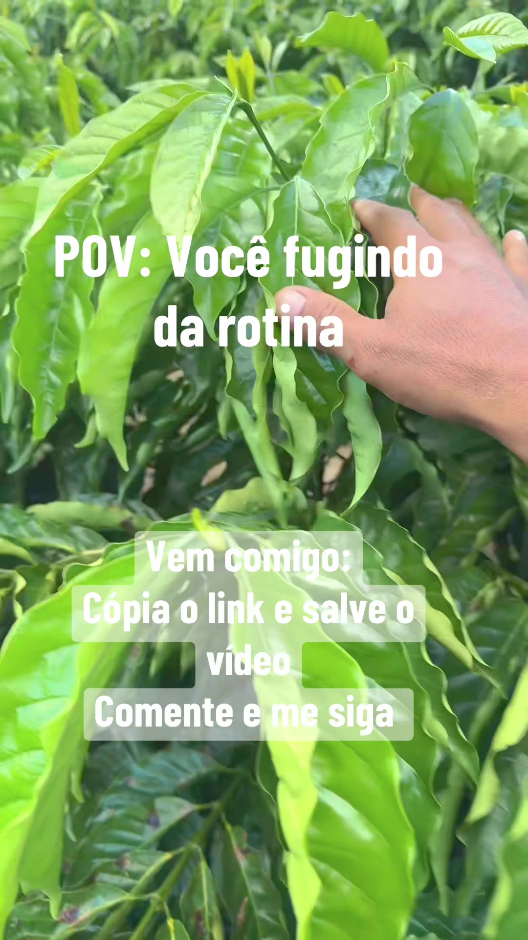 @Samuel Costa