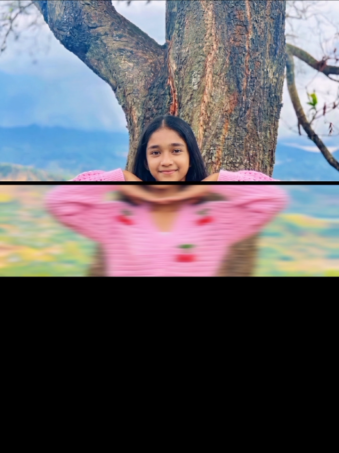 @K! 🦕