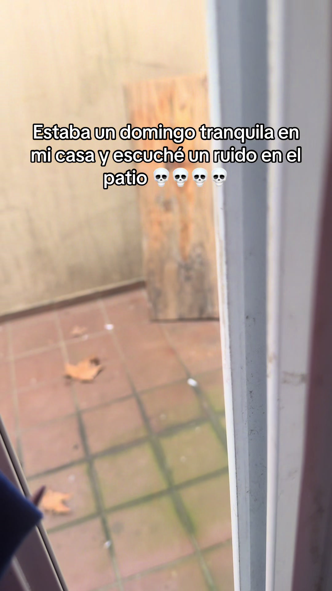 @Rocio Ragonesi