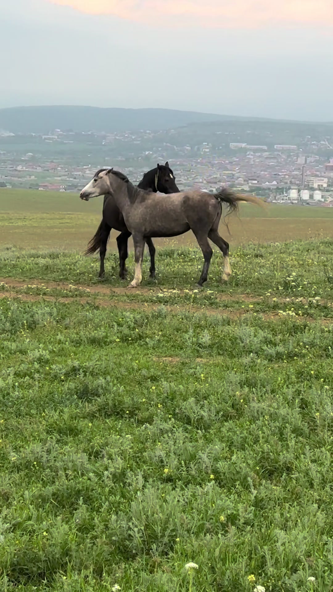 @MakvinStud
