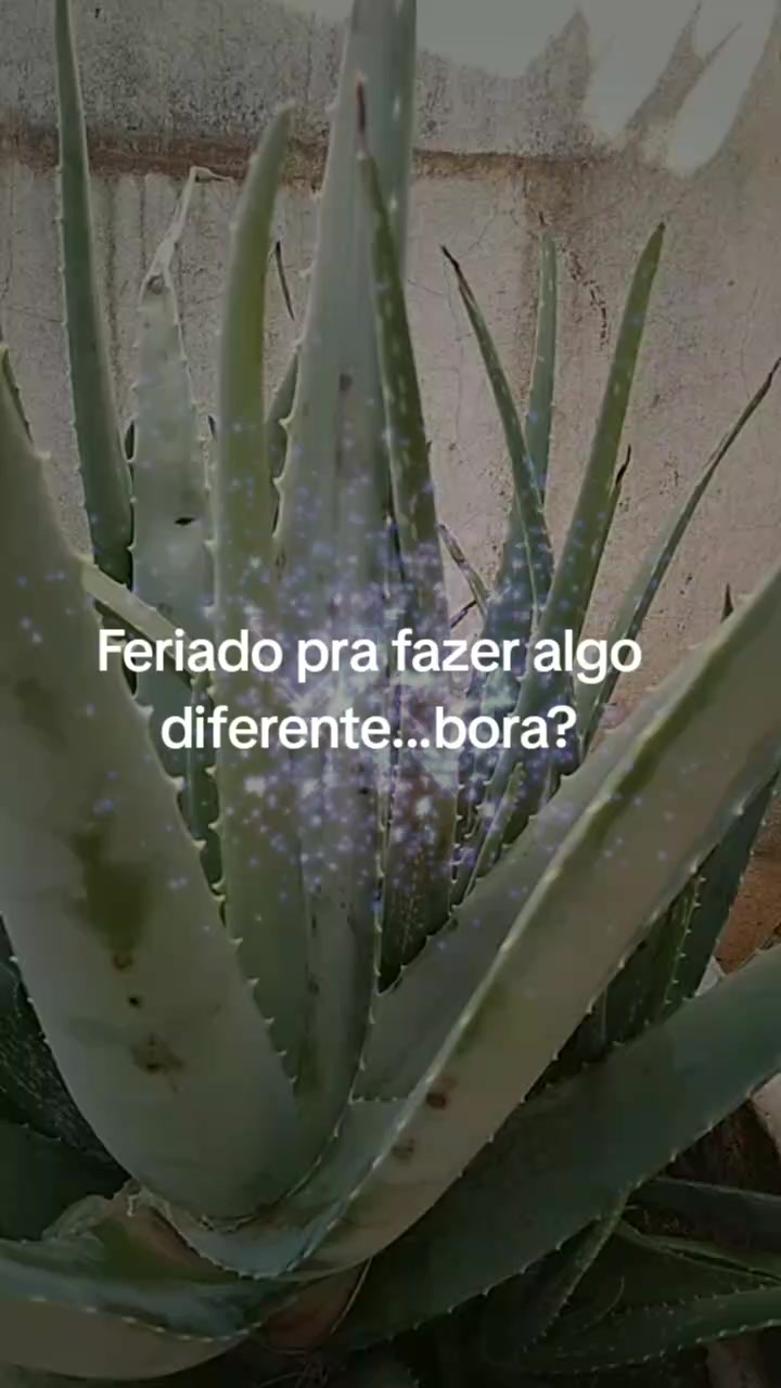 @Gislaine Oliveira