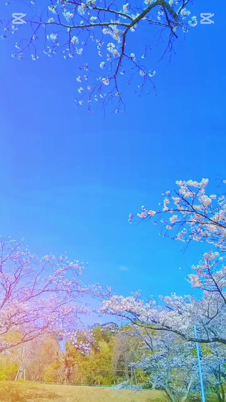 @🧿❤️&zwj;🩹