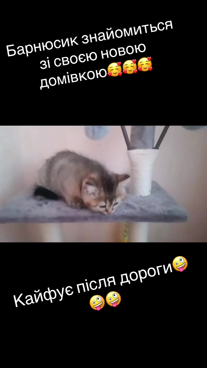 @Джессі-Річчі