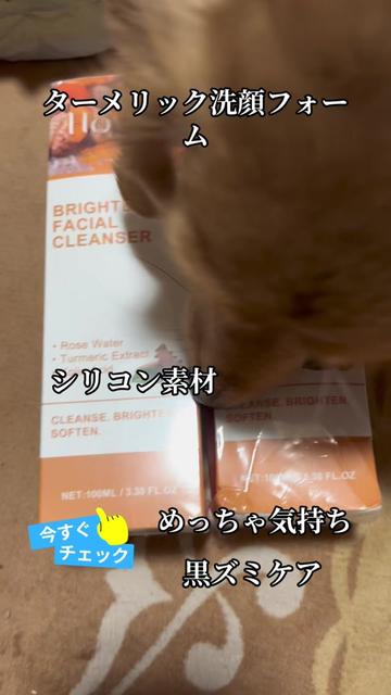 @ゆーゆ🐶🦔