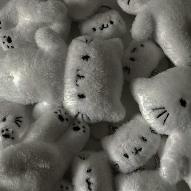 @๐ข๐พ๐น๐ฎ๐ป๐ท๐ช๐ฝ๐พ๐ป๐ช๐ต†