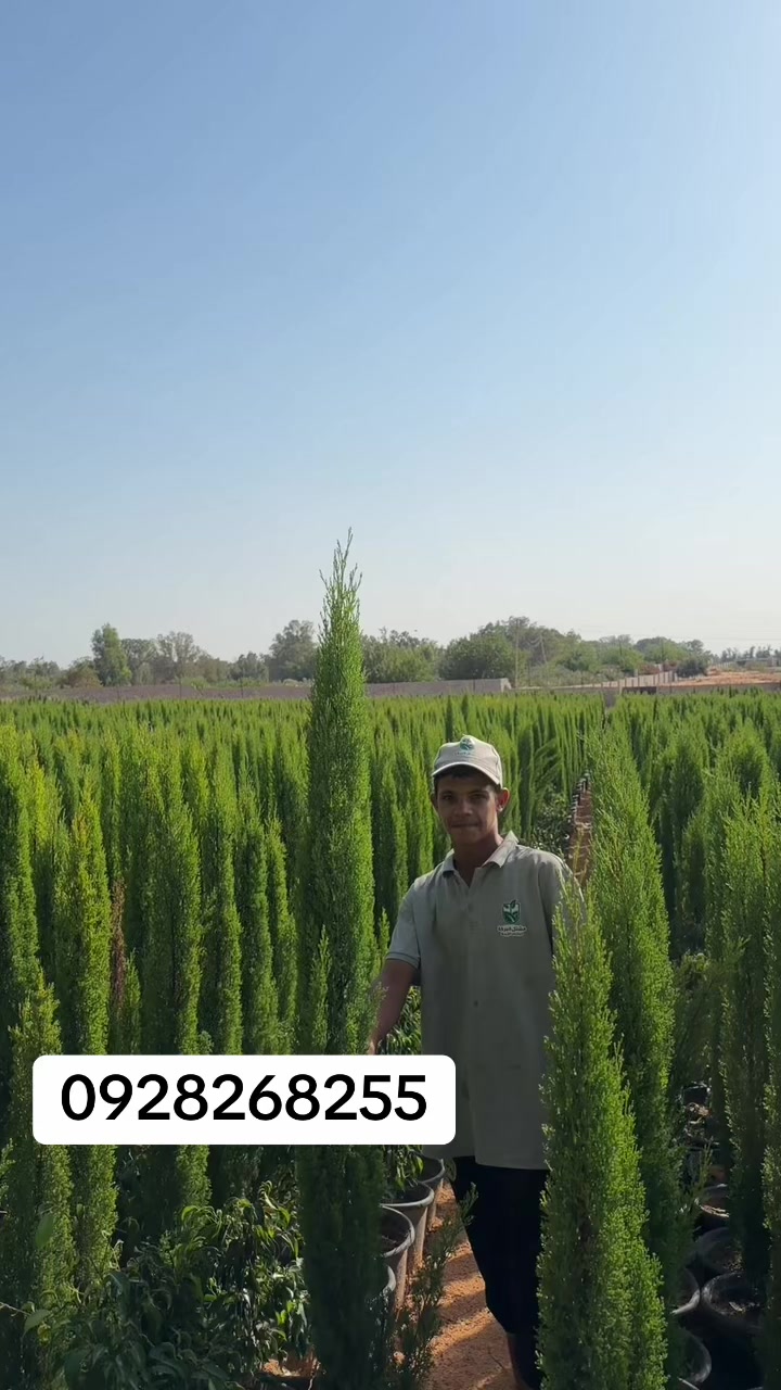 @مشتل البركة
