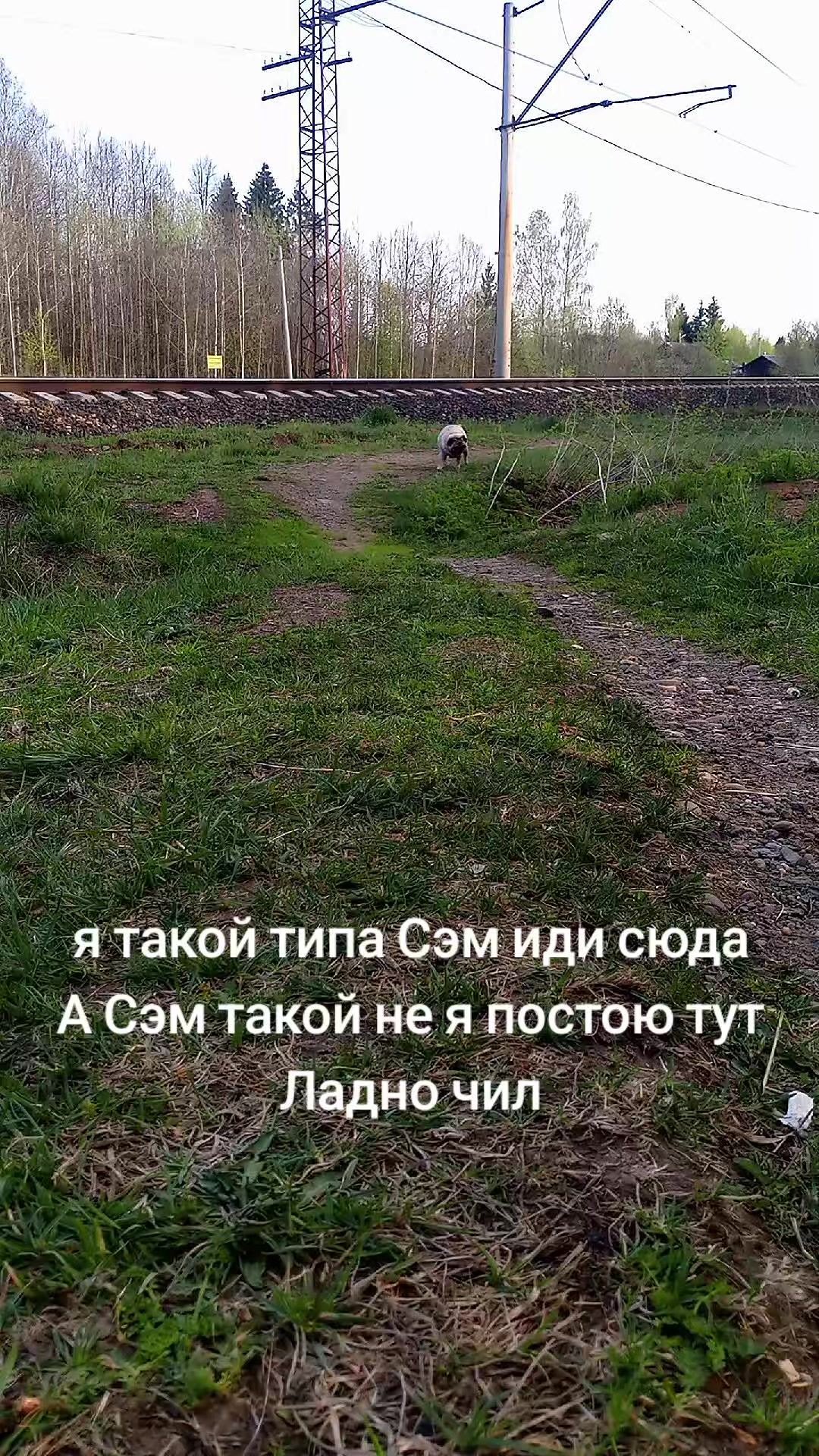 @tg: SamMops76