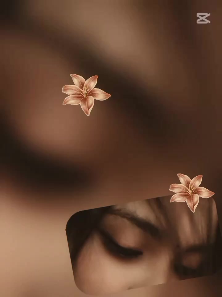 @シ︎𝐂𝐫𝐚𝐳𝐲 𝐏𝐚𝐫𝐨𝐬༆🇸🇦