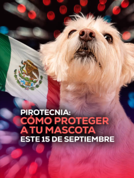 @MVS Noticias Monterrey