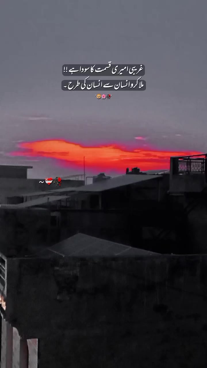@HAmza Rajpoot 🇵🇰